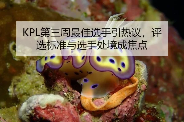 KPL第三周最佳选手引热议，评选标准与选手处境成焦点